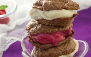 Healthy Recipes - Ice Cream Sandwiches